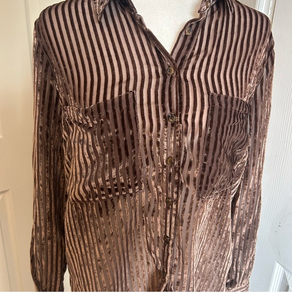 Pilcro Anthropologie Velvet sheer burnout Metallic Brown Button Down blouse - Picture 5 of 7